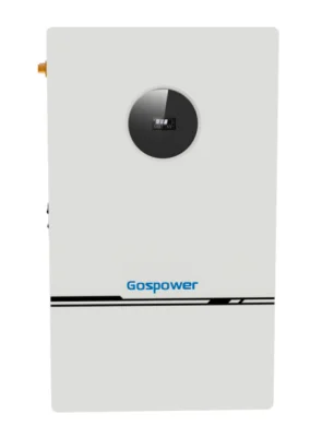 10kWh Low Voltage Wall-Mounted Energy Storage Battery Pack